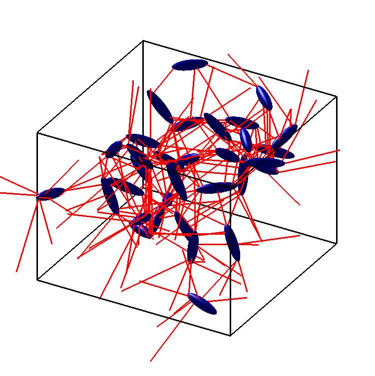 32 ellipsoidal particles in a periodic box with their minimum-distance vectors in red